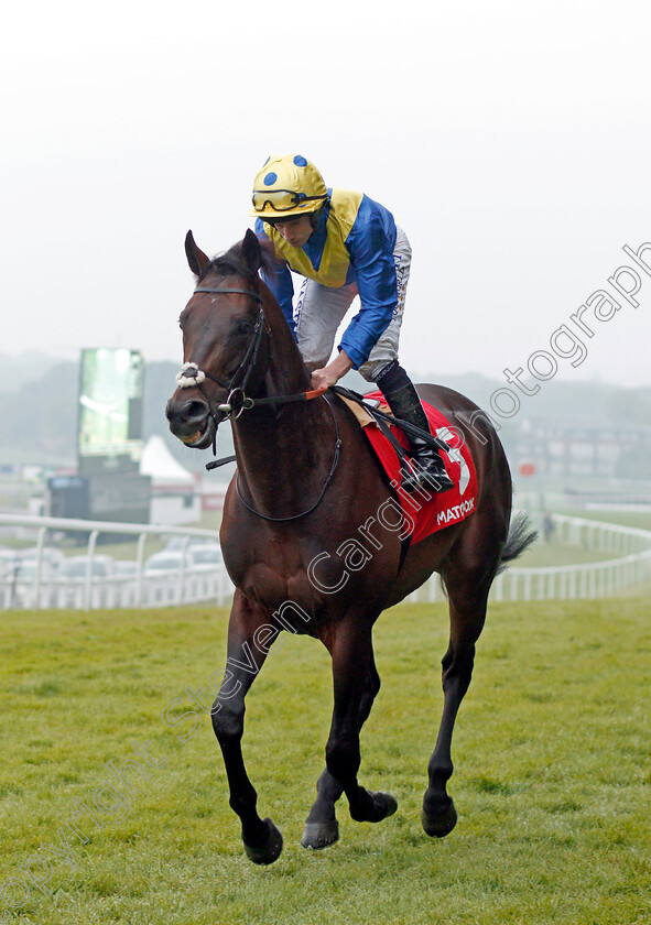 Poet s-Word-0003 
 POET'S WORD (Ryan Moore) before The Matchbook Brigadier Gerard Stakes Sandown 24 May 2018 - Pic Steven Cargill / Racingfotos.com