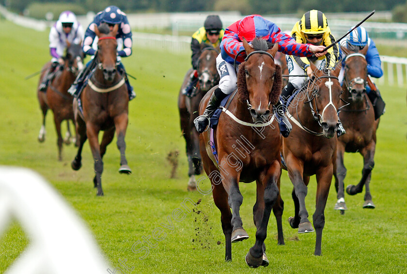 Bedford-Flyer-0005 
 BEDFORD FLYER (Lewis Edmunds) wins The Betway Casino Nursery
Lingfield 2 Sep 2020 - Pic Steven Cargill / Racingfotos.com