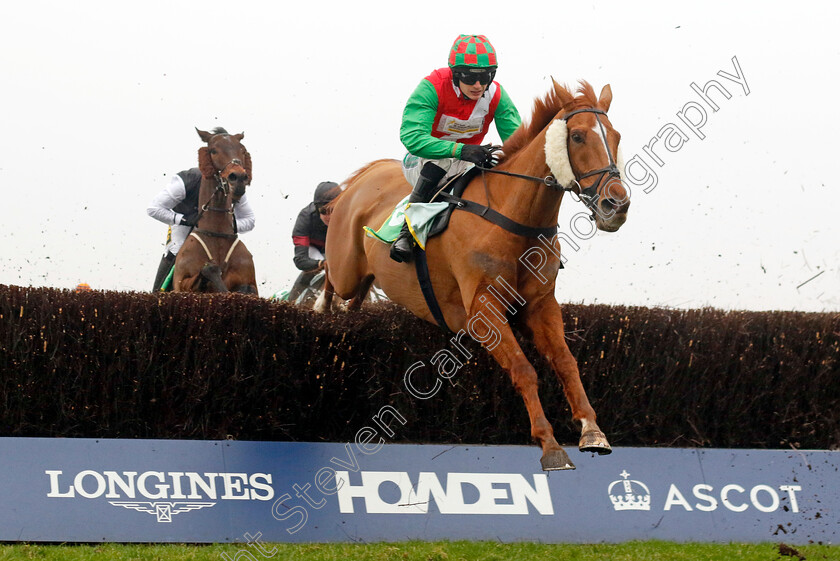 Flegmatik-0001 
 FLEGMATIK (Tristan Durrell)
Ascot 18 Jan 2025 - Pic Steven Cargill / Racingfotos.com