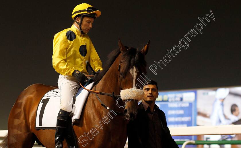 Roy-Orbison-0001 
 ROY ORBISON (Tadhg O'Shea) Meydan 25 Jan 2018 - Pic Steven Cargill / Racingfotos.com