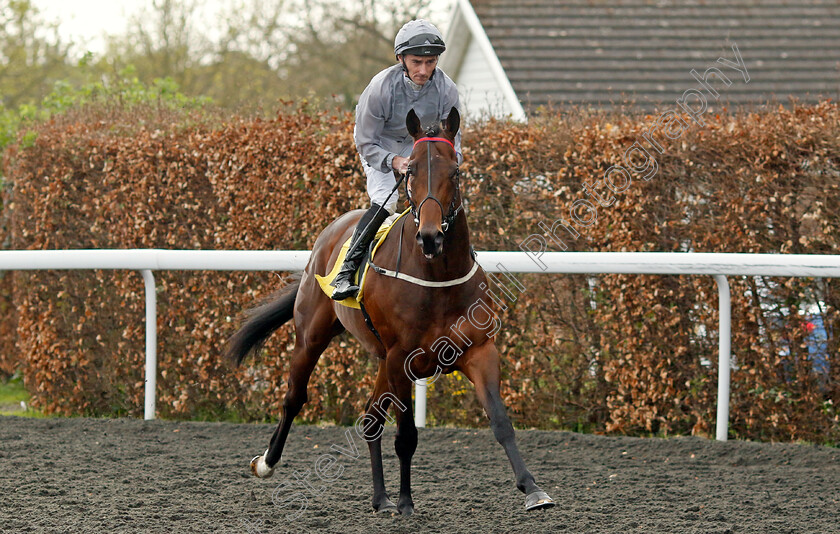 Native-Warrior-0002 
 NATIVE WARRIOR (Daniel Tudhope)
Kempton 6 Apr 2024 - Pic Steven Cargill / Racingfotos.com