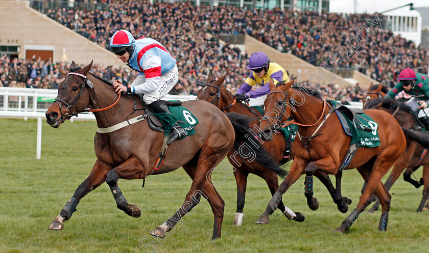 Simply-The-Betts-0005 
 SIMPLY THE BETTS (Gavin Sheehan) wins The Brown Advisory & Merriebelle Stable Plate
Cheltenham 12 Mar 2020 - Pic Steven Cargill / Racingfotos.com