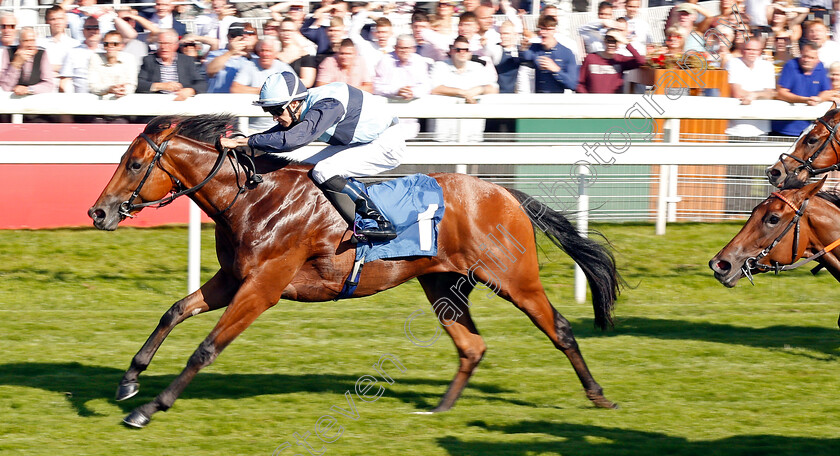 Alligator-Alley-0005 
 ALLIGATOR ALLEY (Donnacha O'Brien) wins The Julia Graves Roses Stakes
York 24 Aug 2019 - Pic Steven Cargill / Racingfotos.com