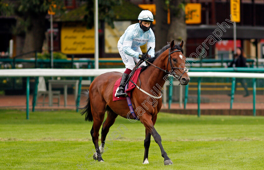 Toronto-0001 
 TORONTO (Cieren Fallon)
Haydock 3 Sep 2020 - Pic Steven Cargill / Racingfotos.com