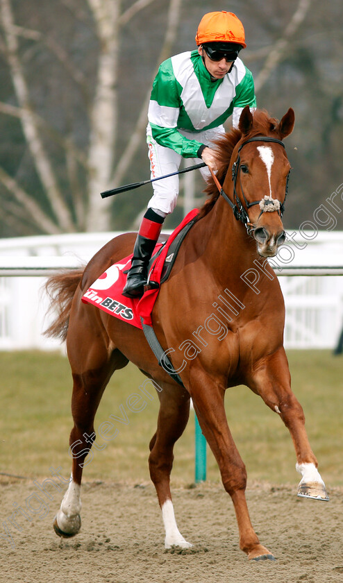 Mr-Minerals-0002 
 MR MINERALS (Shane Kelly) Lingfield 3 Mar 2018 - Pic Steven Cargill / Racingfotos.com