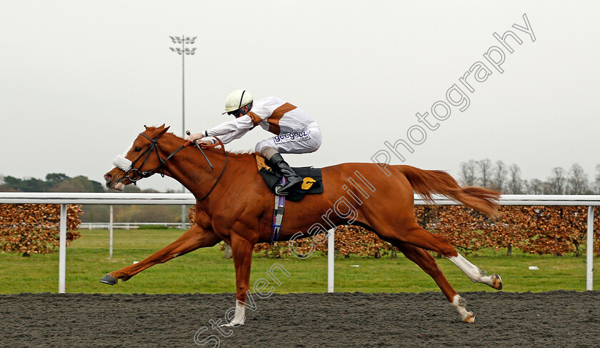 May-Night-0004 
 MAY NIGHT (David Probert) wins The Unibet Casino Deposit £10 Get £40 Bonus Handicap Div1
Kempton 31 Mar 2021 - Pic Steven Cargill / Racingfotos.com