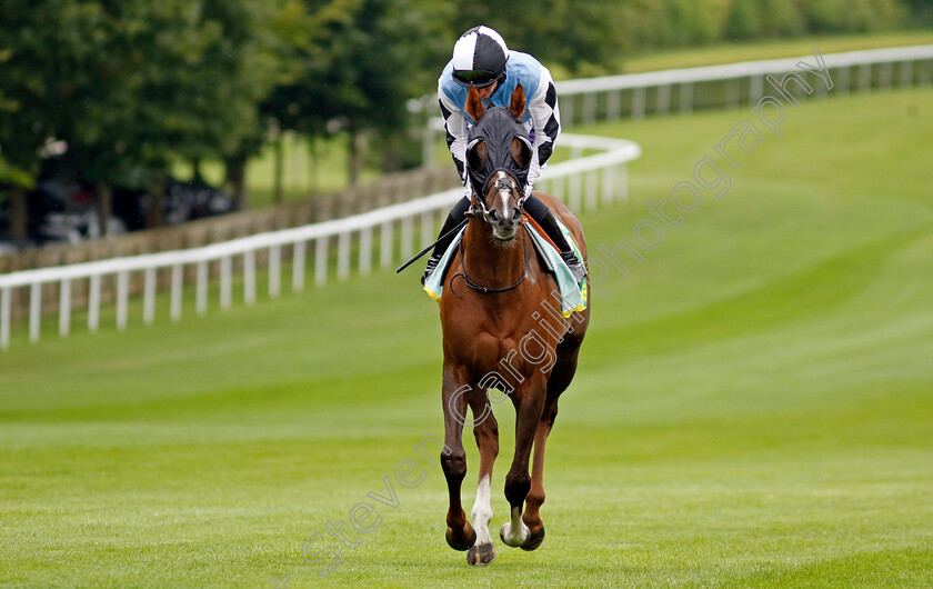 Travolta-0001 
 TRAVOLTA (Daniel Muscutt)
Newmarket 12 Jul 2024 - Pic Steven Cargill / Racingfotos.com