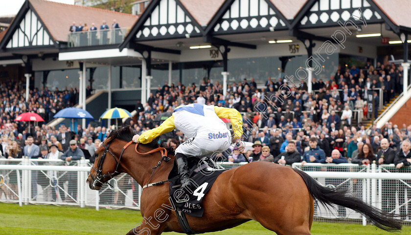 Leodis-Dream-0003 
 LEODIS DREAM (Daniel Tudhope) wins The Boodles Diamond Handicap
Chester 8 May 2019 - Pic Steven Cargill / Racingfotos.com