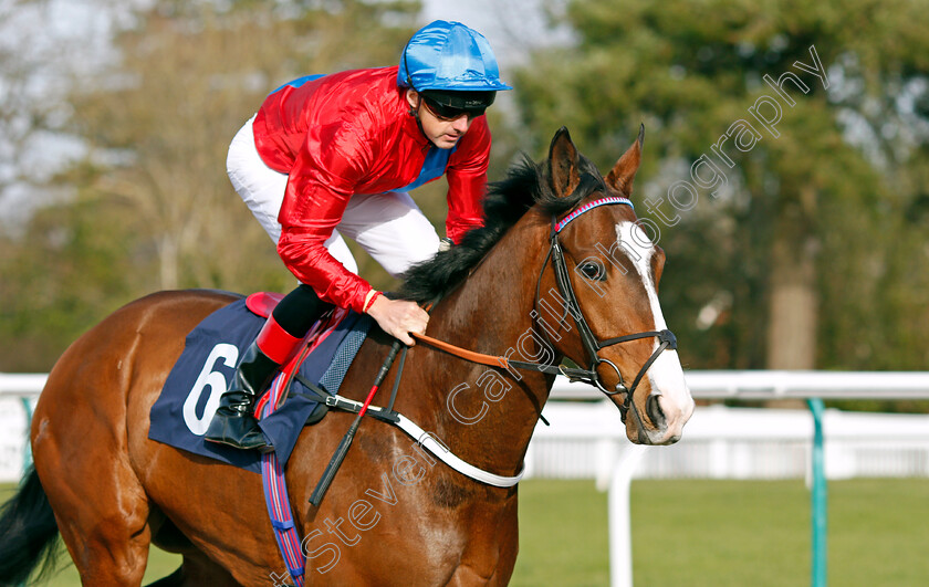 Glide-Down 
 GLIDE DOWN (Martin Harley)
Lingfield 5 Feb 2022 - Pic Steven Cargill / Racingfotos.com