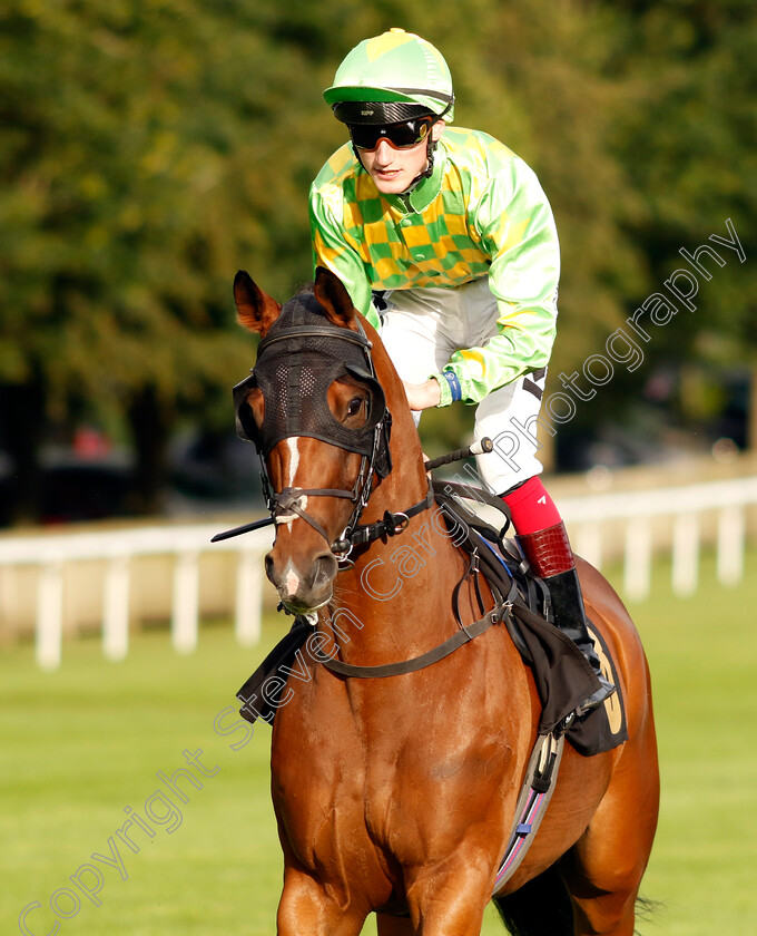 Control-0002 
 CONTROL (David Egan)
Newmarket 28 Jul 2023 - Pic Steven Cargill / Racingfotos.com