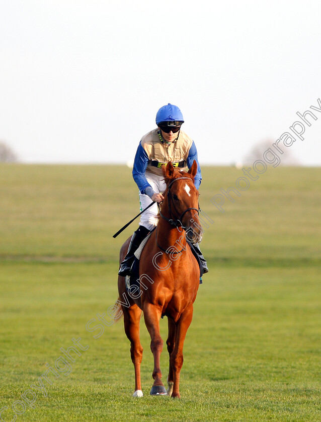 Swansdown-0001 
 SWANSDOWN (Jamie Spencer)
Newmarket 24 Oct 2018 - Pic Steven Cargill / Racingfotos.com