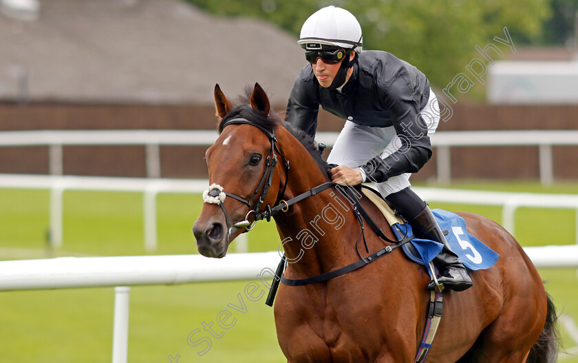 Adrastus-0003 
 ADRASTUS (Ross Coakley)
Leicester 15 Jul 2021 - Pic Steven Cargill / Racingfotos.com