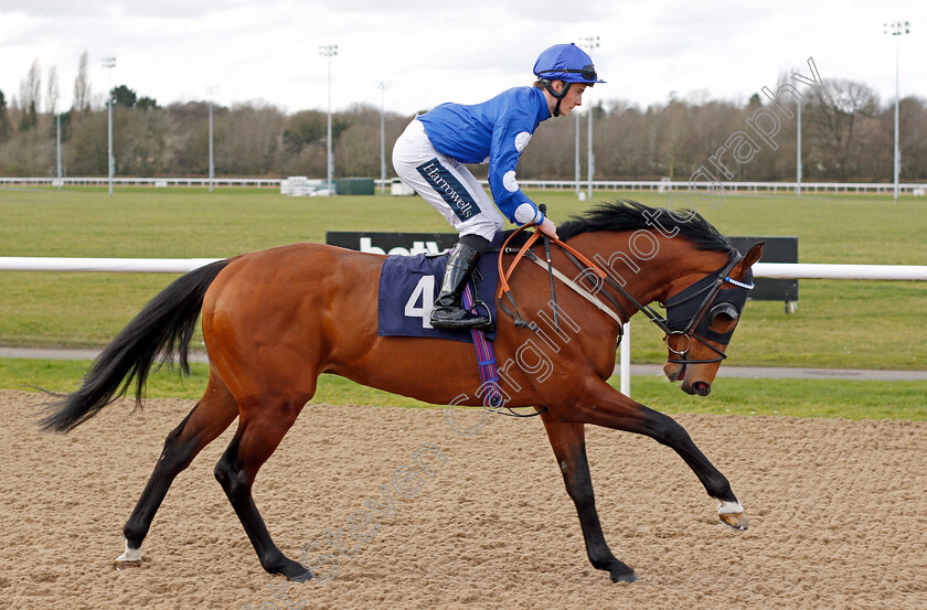 Mighty-Gurkha 
 MIGHTY GURKHA (Adam McNamara) 
Wolverhampton 12 Mar 2022 - Pic Steven Cargill / Racingfotos.com