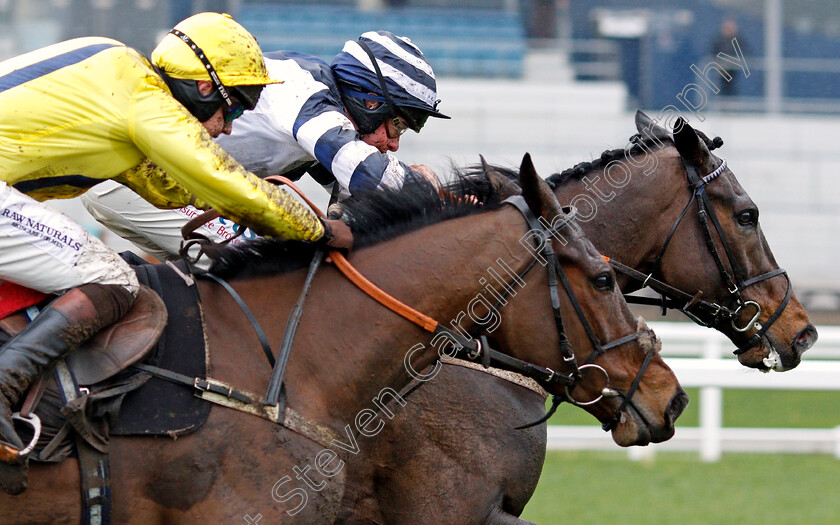 Skytastic-0006 
 SKYTASTIC (right, Charlie Deutsch) beats SCARFACE (left) in The Join Kim Bailey Racing Novices Hurdle
Ascot 19 Feb 2022 - Pic Steven Cargill / Racingfotos.com