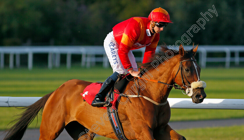 Noble-Glance-0001 
 NOBLE GLANCE (Joey Haynes)
Kempton 4 Aug 2021 - Pic Steven Cargill / Racingfotos.com