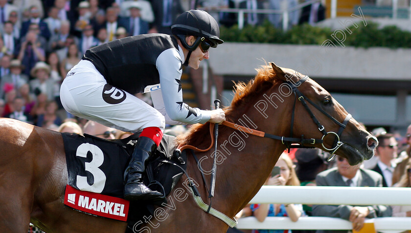 Rumble-Inthejungle-0006 
 RUMBLE INTHEJUNGLE (Tom Queally) wins The Markel Insurance Molecomb Stakes
Goodwood 1 Aug 2018 - Pic Steven Cargill / Racingfotos.com