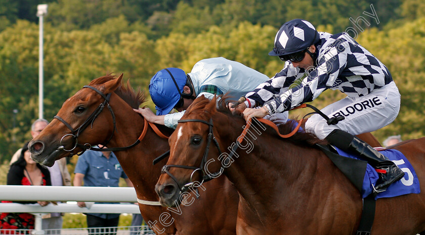 Belated-Breath-0002 
 BELATED BREATH (left, Oisin Murphy) beats ROMAN SPINNER (right) in The Follow 188bet On Twitter Handicap Nottingham 22 May 2018 - Pic Steven Cargill / Racingfotos.com