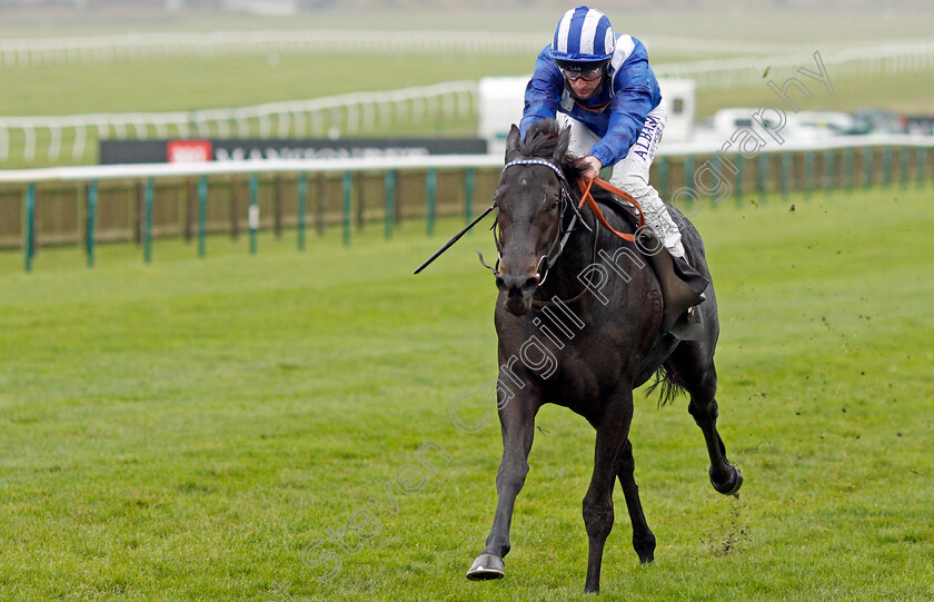 Mutasaabeq-0004 
 MUTASAABEQ (Dane O'Neill) wins The Download The Mansionbet App Novice Stakes
Newmarket 21 Oct 2020 - Pic Steven Cargill / Racingfotos.com