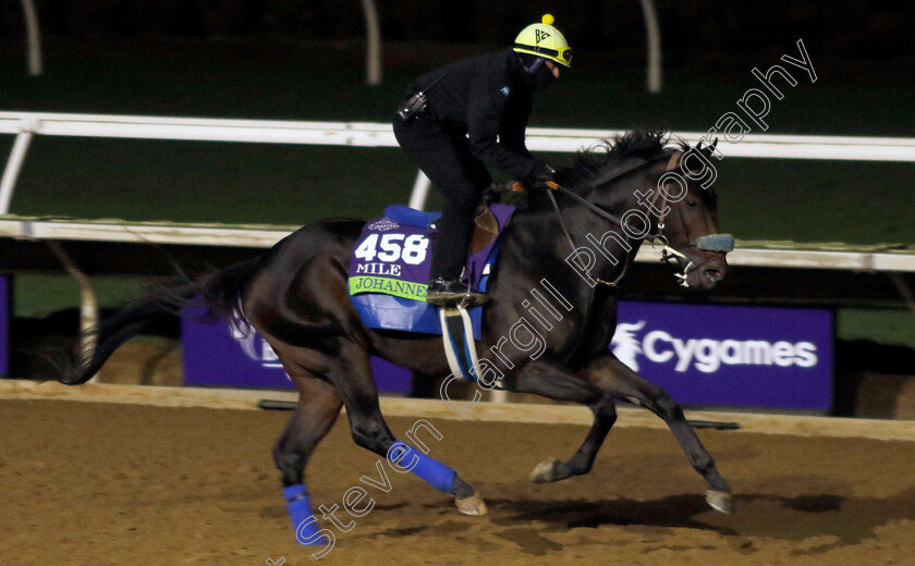 Johannes-0001 
 JOHANNES training for the Breeders' Cup Mile 
Del Mar USA 30 Oct 2024 - Pic Steven Cargill / Racingfotos.com