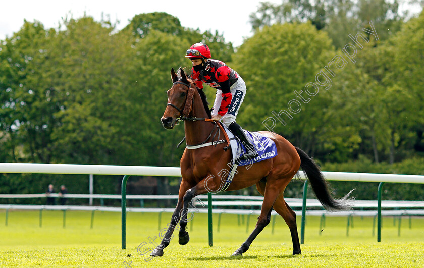 Hiroshima-0001 
 HIROSHIMA (Paul Mulrennan)
Haydock 22 May 2021 - Pic Steven Cargill / Racingfotos.com