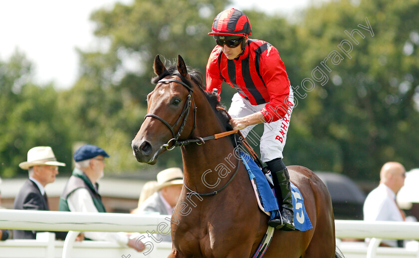 Kingofhell-0001 
 KINGOFHELL (Tom Marquand)
Salisbury 11 Aug 2021 - Pic Steven Cargill / Racingfotos.com