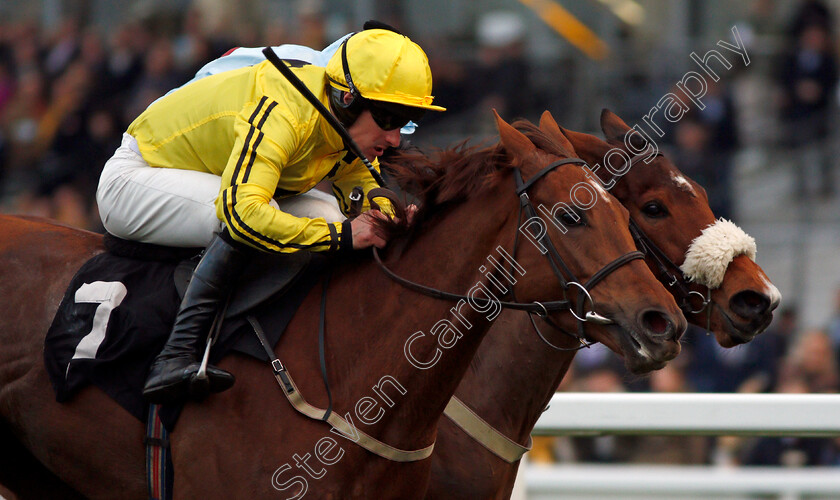 Buildmeupbuttercup-0007 
 BUILDMEUPBUTTERCUP (nearside, Brian Hughes) beats ROSY WORLD (farside) in The Millgate Mares Standard Open National Hunt Flat Race Ascot 17 Feb 2018 - Pic Steven Cargill / Racingfotos.com