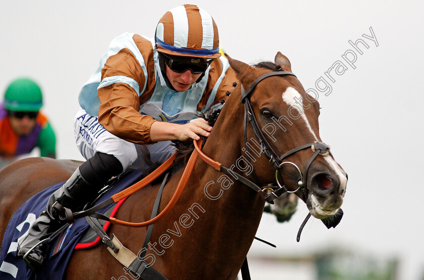 Caspian-Prince-0005 
 CASPIAN PRINCE (Tom Marquand) wins The Free Tips Daily On attheraces.com Handicap
Yarmouth 16 Sep 2020 - Pic Steven Cargill / Racingfotos.com