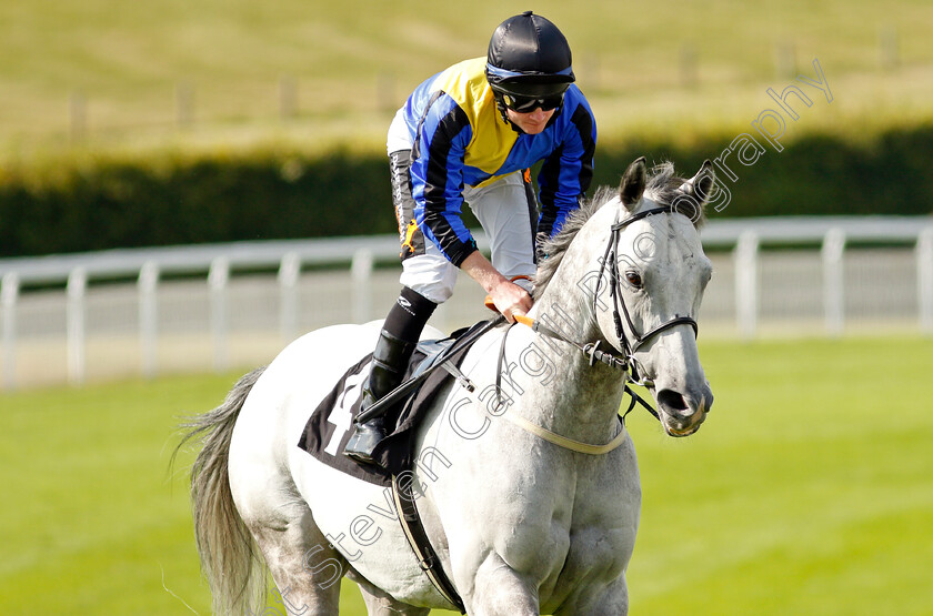 Gunmetal-0002 
 GUNMETAL (William Carson)
Goodwood 22 Sep 2021 - Pic Steven Cargill / Racingfotos.com