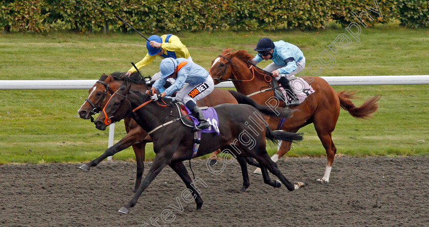 Moolazim-0001 
 MOOLAZIM (farside, Daniel Muscutt) beats VENTURA BLUES (10) in The ROA Racing Post Owners Jackpot Handicap Kempton 25 Sep 2017 - Pic Steven Cargill / Racingfotos.comdivision down the back straight in The ROA Racing Post Owners Jackpot Handicap Kempton 25 Sep 2017 - Pic Steven Cargill / Racingfotos.com