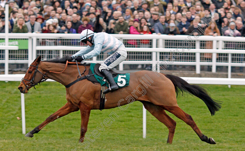 Summerville-Boy-0008 
 SUMMERVILLE BOY (Jonathan Burke) wins The Dornan Engineering Relkeel Hurdle
Cheltenham 1 Jan 2020 - Pic Steven Cargill / Racingfotos.com