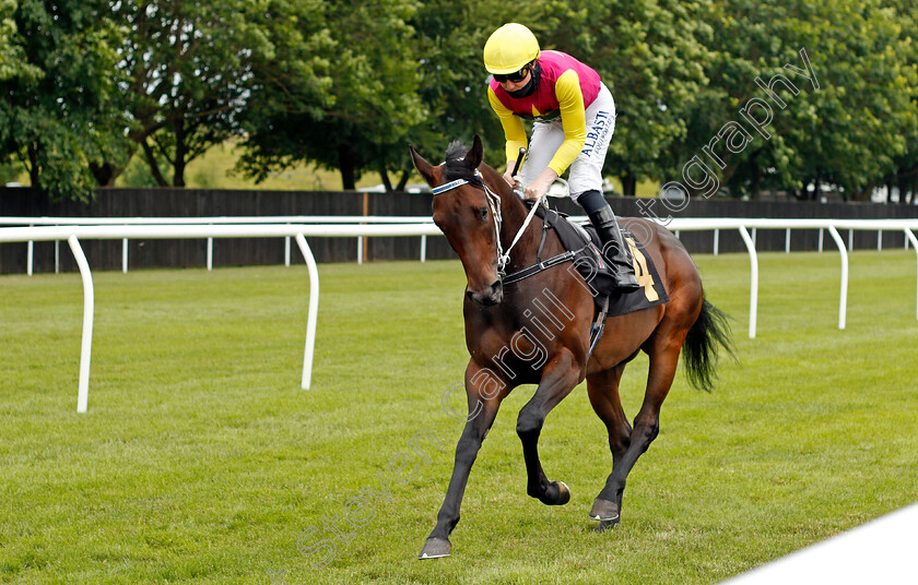 Prince-Of-Abington-0001 
 PRINCE OF ABINGTON (Pat Cosgrave)
Newmarket 24 Jun 2021 - Pic Steven Cargill / Racingfotos.com