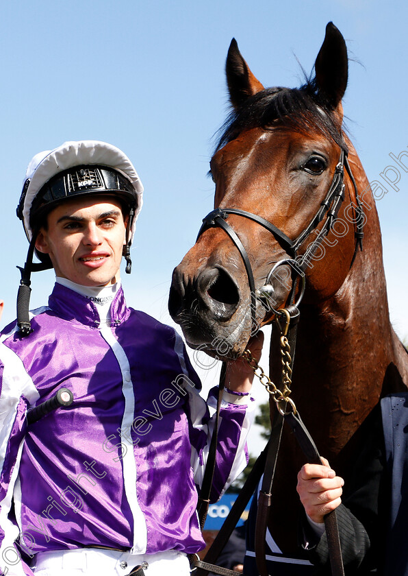 Magna-Grecia-0015 
 MAGNA GRECIA (Donnacha O'Brien) after The Qipco 2000 Guineas
Newmarket 4 May 2019 - Pic Steven Cargill / Racingfotos.com