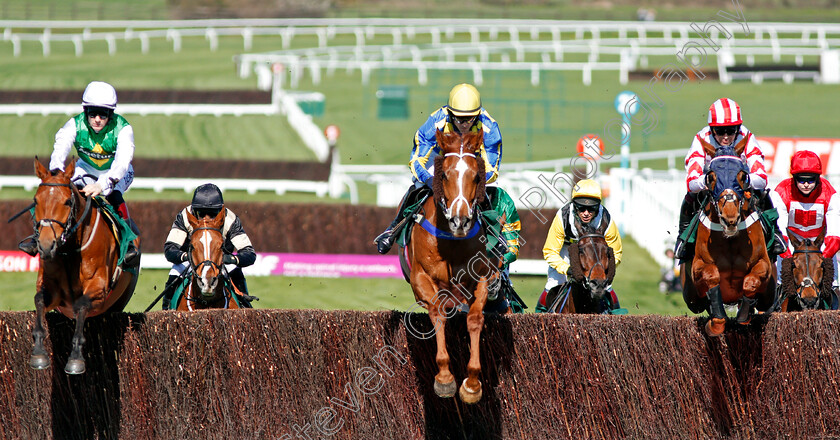 Tanarpino-0001 
 TANARPINO (centre, Sean Quinlan) jumps with RED INFANTRY (right) and TINTERN THEATRE (left) Cheltenham 18 Apr 2018 - Pic Steven Cargill / Racingfotos.com