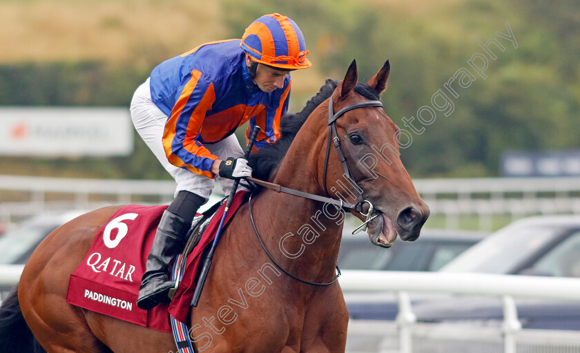 Paddington-0014 
 PADDINGTON (Ryan Moore) winner of The Qatar Sussex Stakes
Goodwood 2 Aug 2023 - Pic Steven Cargill / Racingfotos.com