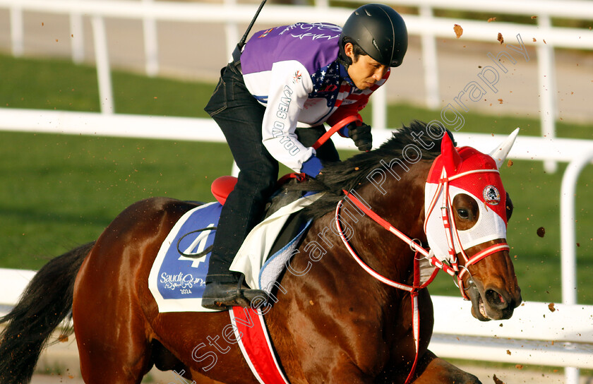 Bathrat-Leon-0001 
 BATHRAT LEON training for The 1351 Turf Sprint
King Abdulaziz Racecourse, Saudi Arabia 20 Feb 2024 - Pic Steven Cargill / Racingfotos.com