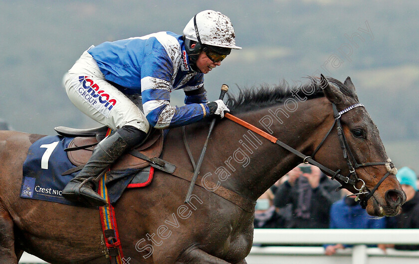 Frodon-0006 
 FRODON (Bryony Frost) wins The Crest Nicholson Handicap Chase Cheltenham 27 Jan 2018 - Pic Steven Cargill / Racingfotos.com