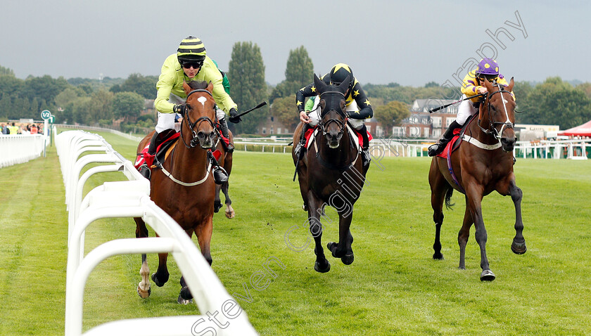 Compton-Mill-0002 
 COMPTON MILL (left, Serena Brotherton) beats PACTOLUS (centre) and BIOTIC (right) in The Slug And Lettuce 2-4-1 Cocktails Amateur Riders Handicap
Sandown 9 Aug 2018 - Pic Steven Cargill / Racingfotos.com