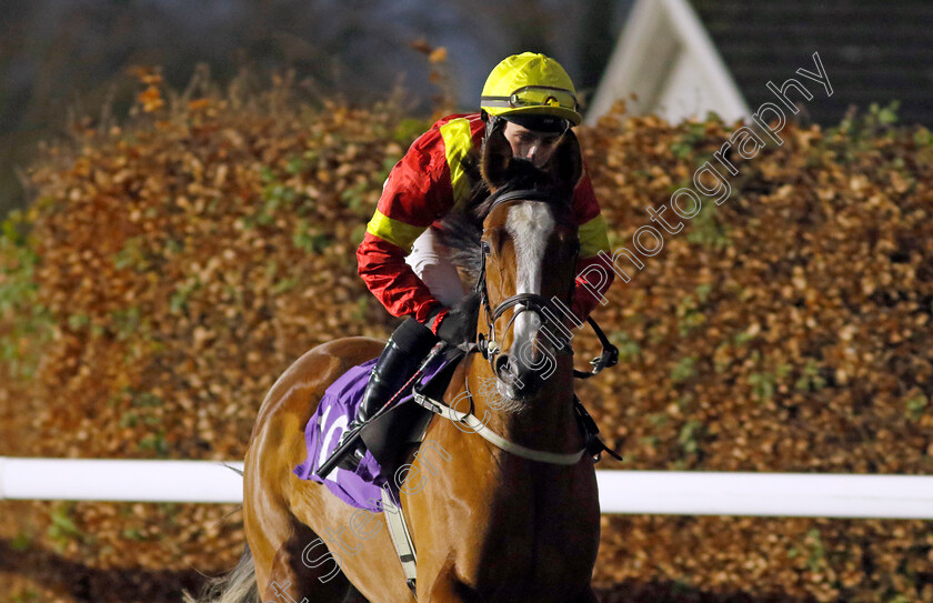 Fortunas-Dream-0001 
 FORTUNAS DREAM (Jack Doughty)
Kempton 11 Dec 2024 - Pic Steven Cargill / Racingfotos.com