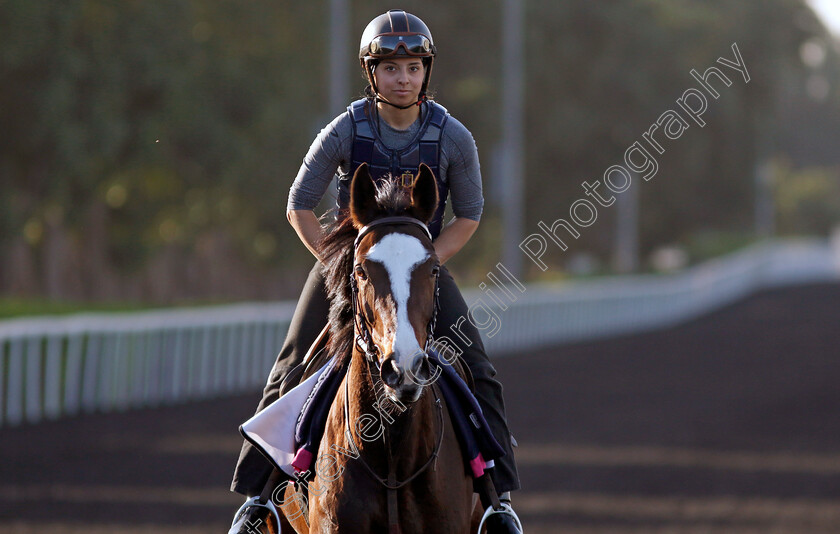 Mistysea-0003 
 MISTYSEA training at the Dubai Racing Carnival 
Meydan 2 Jan 2025 - Pic Steven Cargill / Racingfotos.com