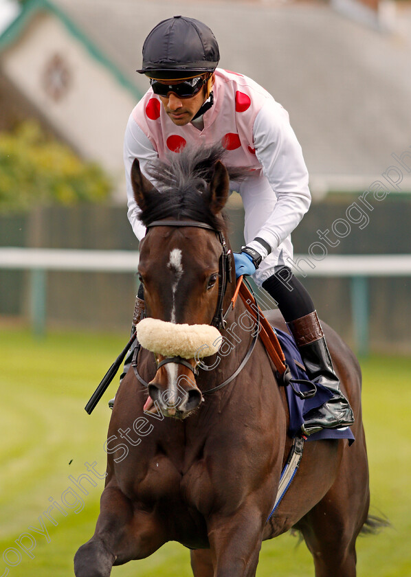 Fintech-0001 
 FINTECH (Saleem Golam) Yarmouth 19 Sep 2017 - Pic Steven Cargill / Racingfotos.com