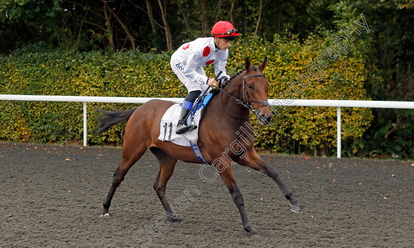 So-Darn-Hot-0002 
 SO DARN HOT (Benoit de la Sayette)
Kempton 2 Oct 2024 - pic Steven Cargill / Racingfotos.com