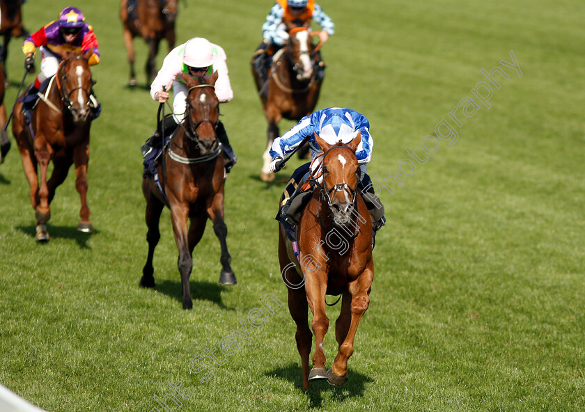 Cleonte-0005 
 CLEONTE (Silvestre De Sousa) wins The Queen Alexandra Stakes
Royal Ascot 22 Jun 2019 - Pic Steven Cargill / Racingfotos.com