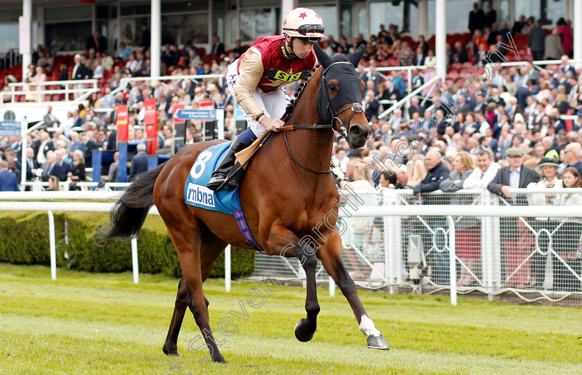 Perfect-Illusion-0001 
 PERFECT ILLUSION (Oisin Murphy)
Chester 9 May 2018 - Pic Steven Cargill / Racingfotos.com