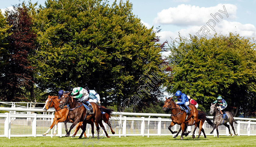 Prado-0001 
 PRADO (Jack Mitchell) wins The Visit racingtv.com Fillies Novice Stakes
Salisbury 11 Jul 2020 - Pic Steven Cargill / Racingfotos.com