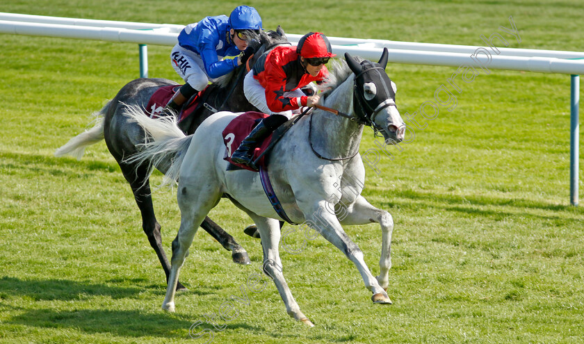 Silver-Samurai-0005 
 SILVER SAMURAI (Ben Curtis) wins The Betfred Supports Jack Berry House Handicap
Haydock 28 May 2022 - Pic Steven Cargill / Racingfotos.com