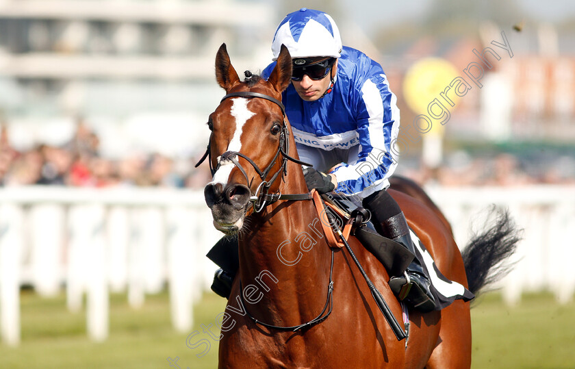 Fox-Chairman-0006 
 FOX CHAIRMAN (Silvestre De Sousa) wins The Dubai Duty Free Tennis Championships Maiden Stakes Div1
Newbury 13 Apr 2019 - Pic Steven Cargill / Racingfotos.com