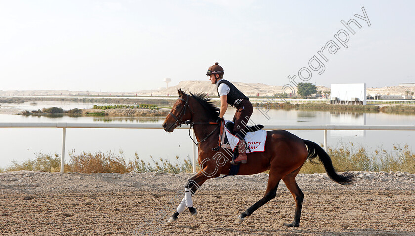 Victory-Chime-0002 
 VICTORY CHIME exercising in preparation for Friday's Bahrain International Trophy
Sakhir Racecourse, Bahrain 16 Nov 2021 - Pic Steven Cargill / Racingfotos.com