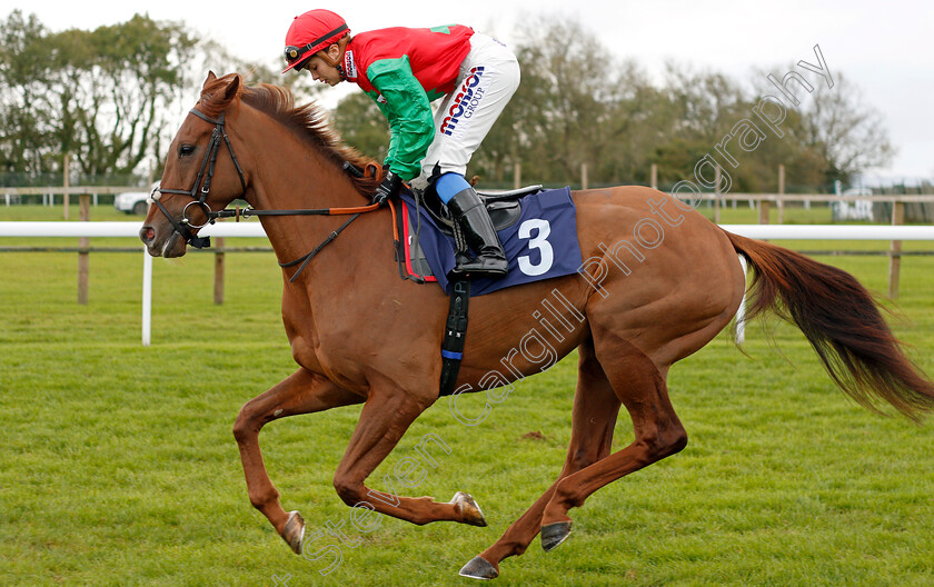 Quel-Destin-0001 
 QUEL DESTIN (Megan Nicholls)
Bath 16 Oct 2019 - Pic Steven Cargill / Racingfotos.com