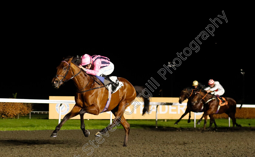 Bowmark-0002 
 BOWMARK (Kieran Shoemark) wins The Unibet EBF Novice Stakes Div2
Kempton 4 Dec 2024 - pic Steven Cargill / Racingfotos.com