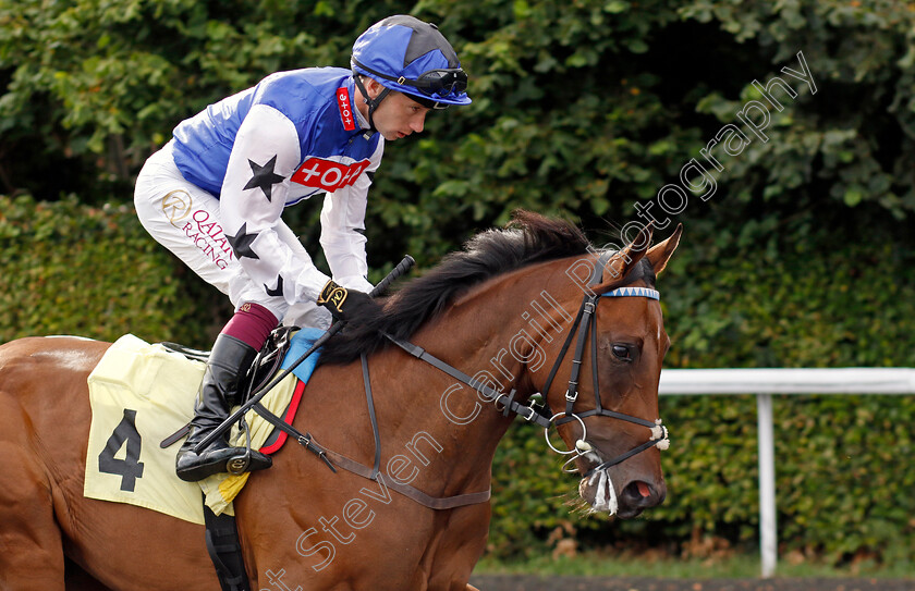 Ballsgrove-Boy-0001 
 BALLSGROVE BOY (Oisin Murphy)
Kempton 7 Aug 2024 - Pic Steven Cargill / Racingfotos.com